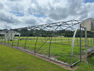 greenhouse