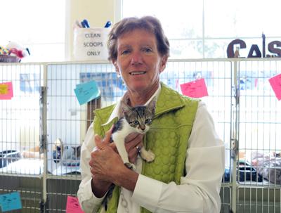 Jayne Boswell Shares Plight Of Shelter Animals With Rotary Club Latest News Scnow Com