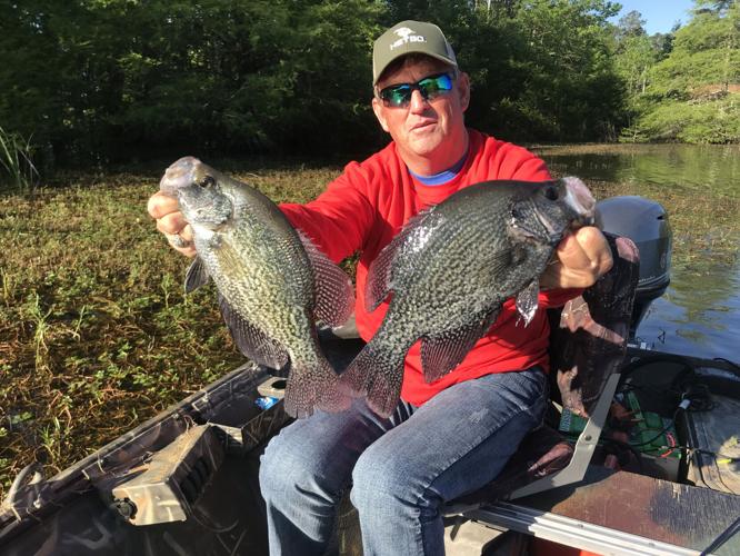 What Line and Pole Does Whitey Outlaw Fish with For Crappie - John