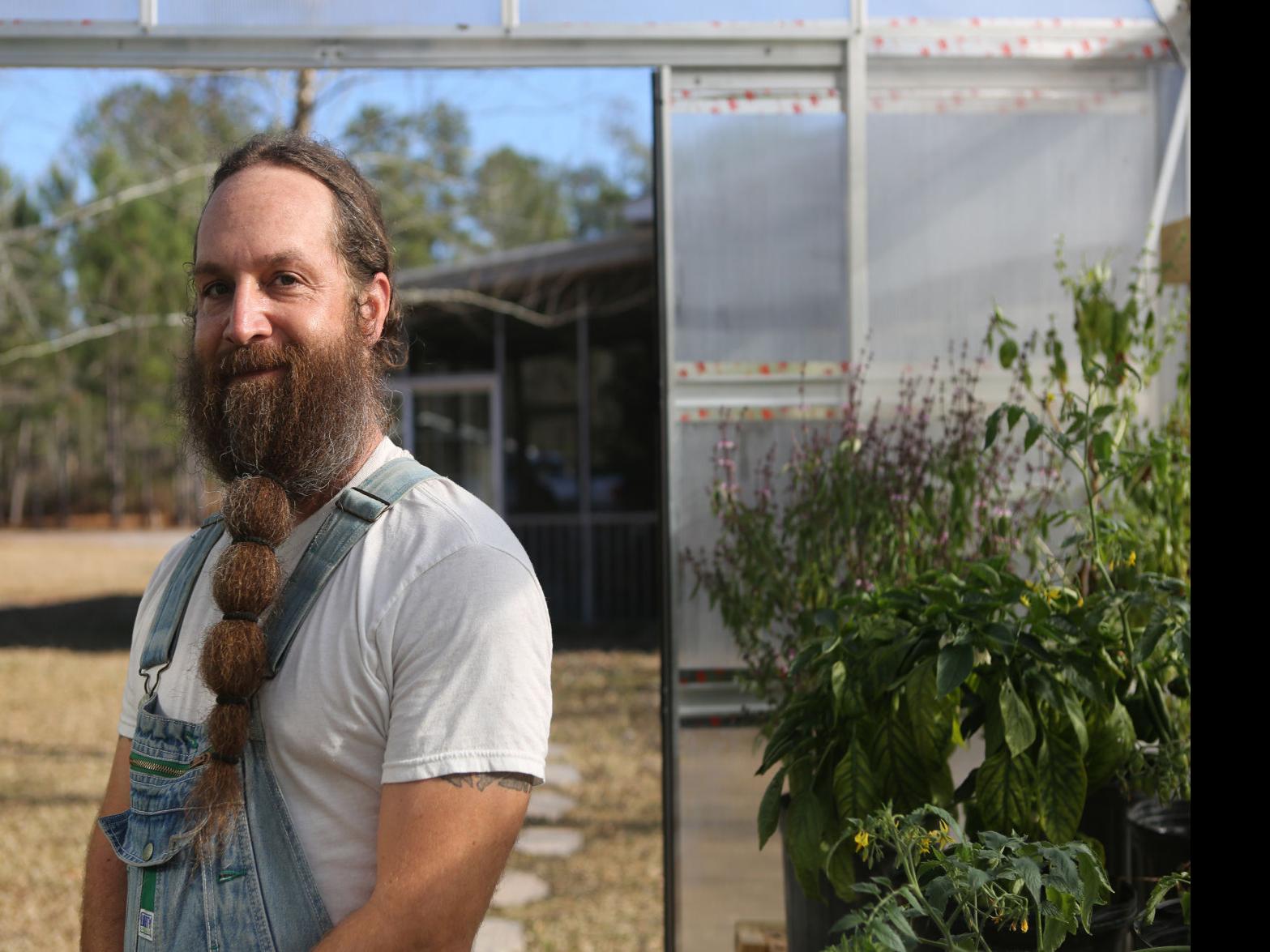 The 1 000 Tomato Building A Greenhouse Is Costly But You Get