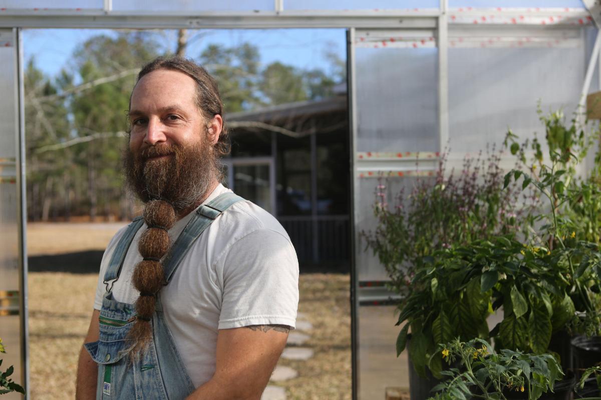 The 1 000 Tomato Building A Greenhouse Is Costly But You Get