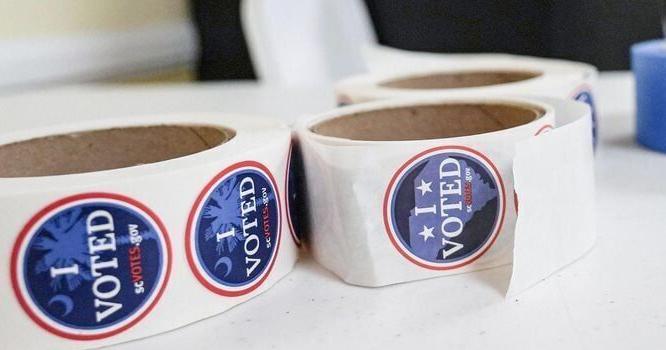 Darlington County Council, House races on ballot