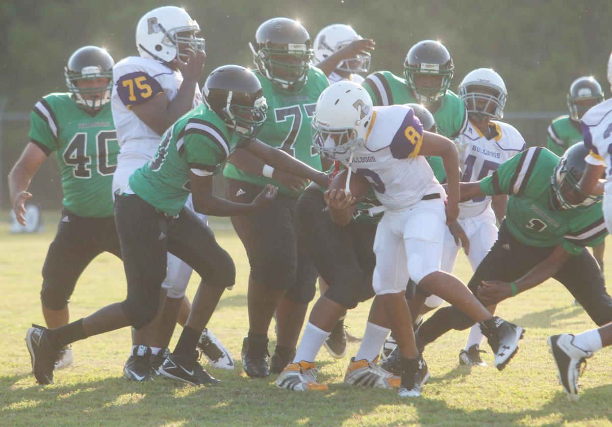 Palmetto Bulldogs Open Season With 30 8 Road Win At Creek Bridge