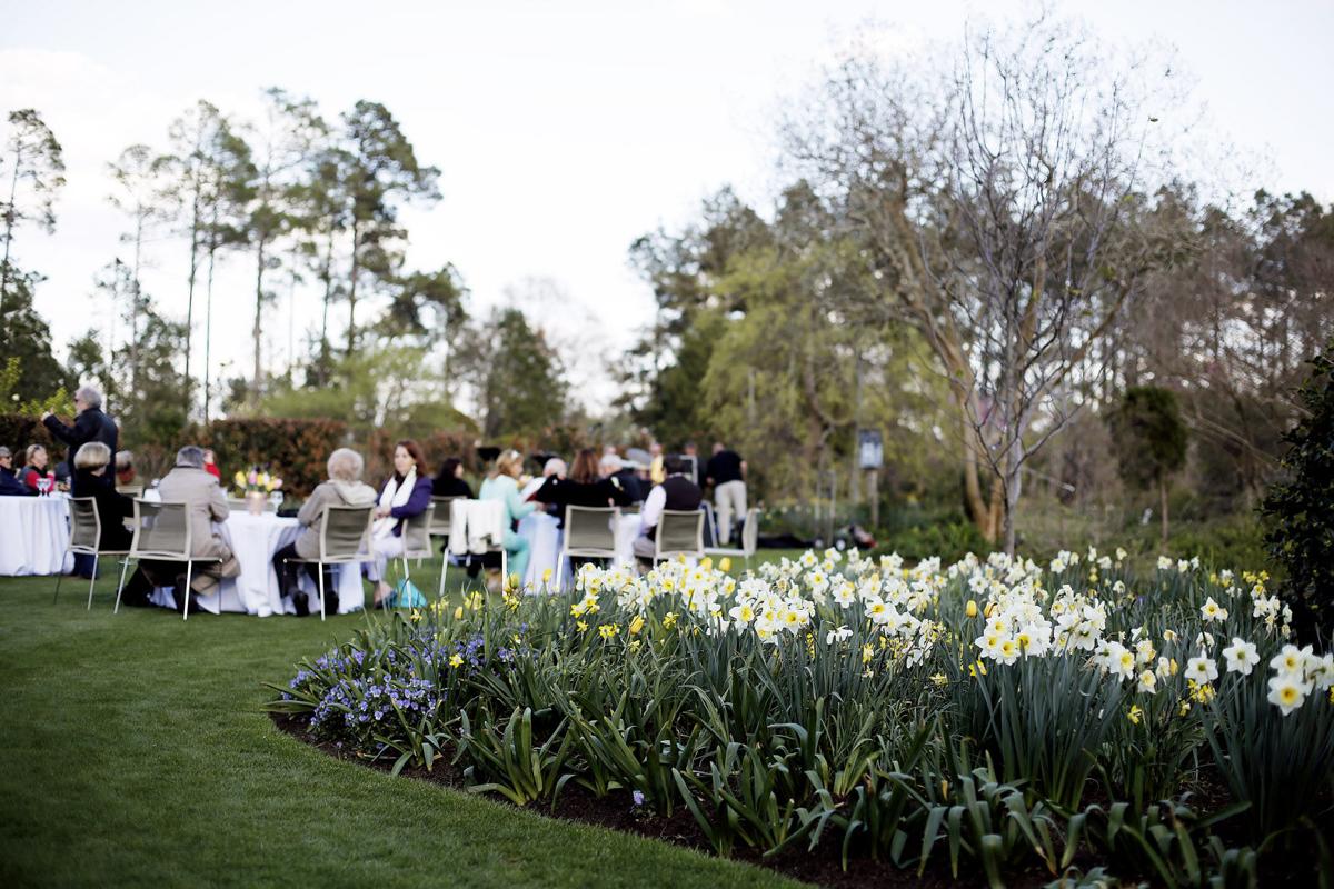 GALLERY Fourth Annual Daffodil Festival Gallery