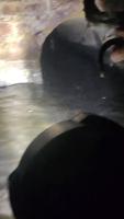 Rescuer saves kitten that was stuck in Long Island sewer