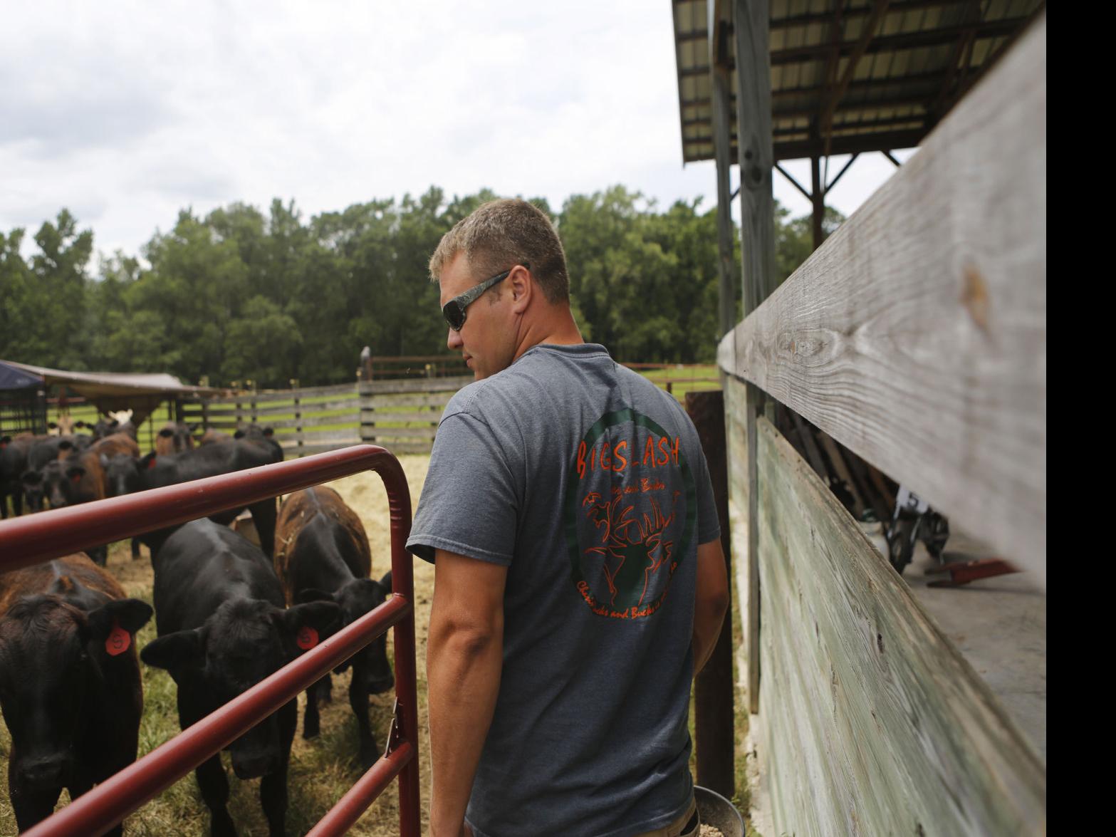 Chris Collins Vowed Never To Be A Farmer But Changed His Mind Local News Scnow Com