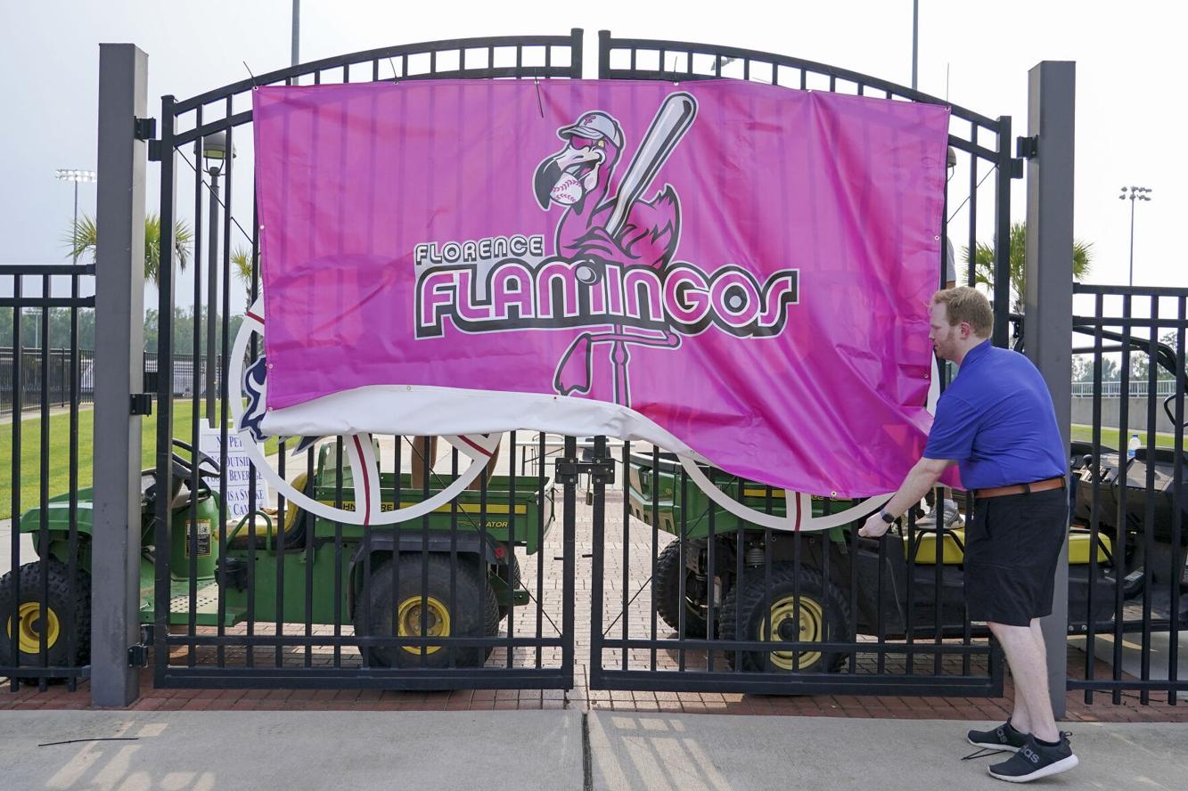 PHOTOS Florence Flamingos Unveiling