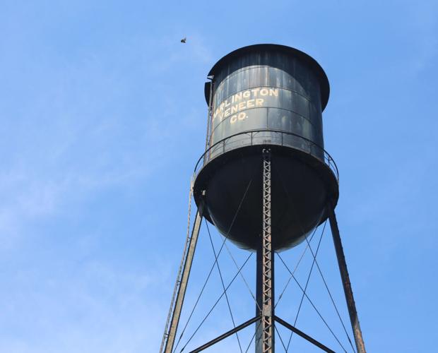 Darlington Veneer Company a thirdgeneration enterprise