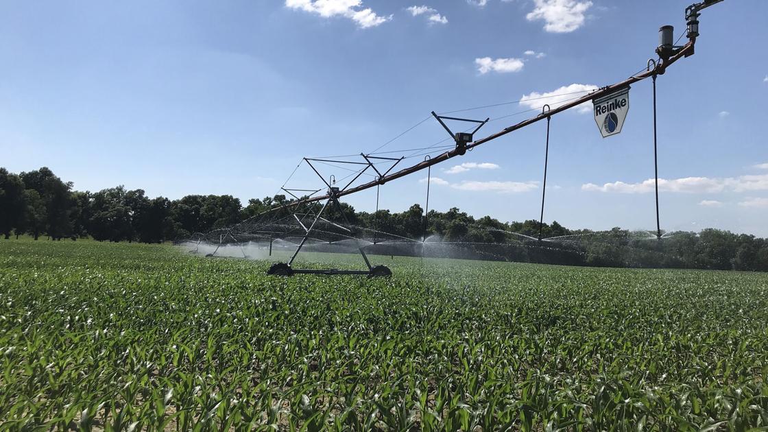 Crops face critical water needs, Clemson irrigation expert says - SCNow