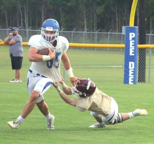 2022 Pee Dee Academy Golden Eagles Preview