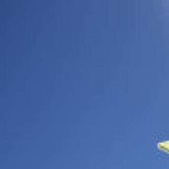 5 Free Things In Florida Keys With Focus On Nature Lifestyles Scnow Com