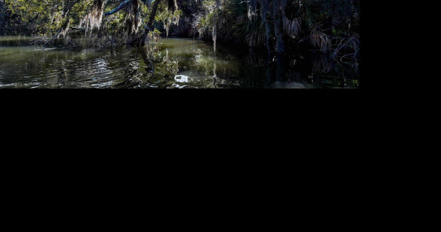 ‘That’s my peace and quiet.’ South Carolina landowner protections pitted against pipeline needs