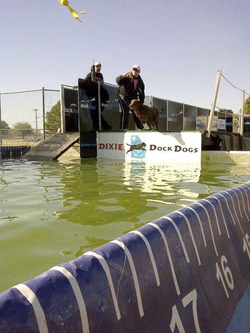dock diving pool for sale