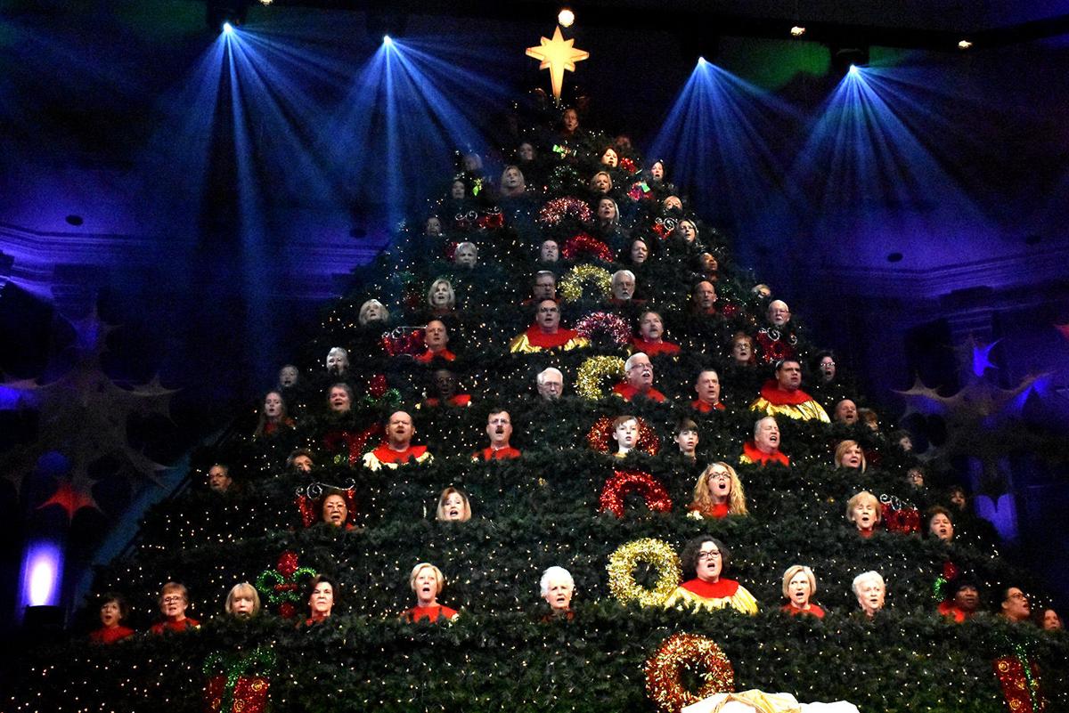 Florence Baptist Temple Living Christmas Tree 2022 Photos: Florence Baptist Temple Living Christmas Tree | News | Scnow.com