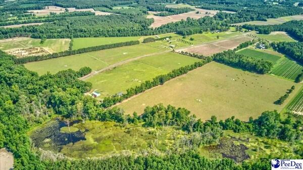 3 Bedroom Home in Timmonsville - $1,500,000