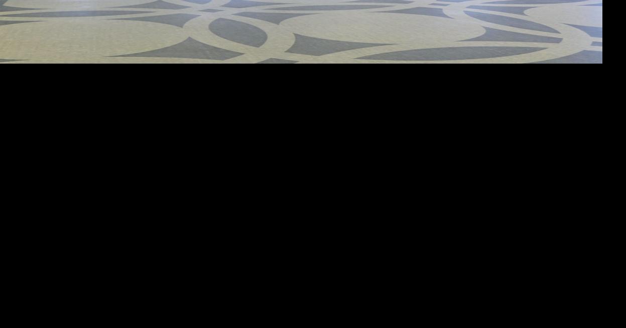 New Hartsville businesses open, more coming