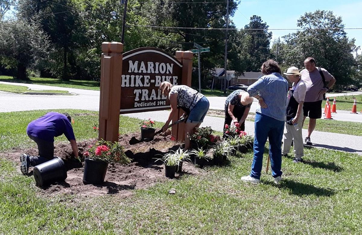 Azalea Garden Club of Marion hosts Gov. McMaster in tree planting