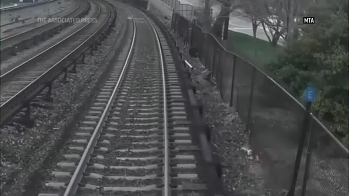 Railroad workers rescue toddler from tracks in NY
