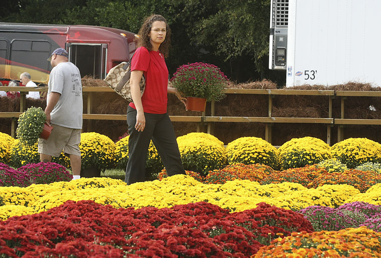Pee Dee Fall Plant And Flower Festival Featured
