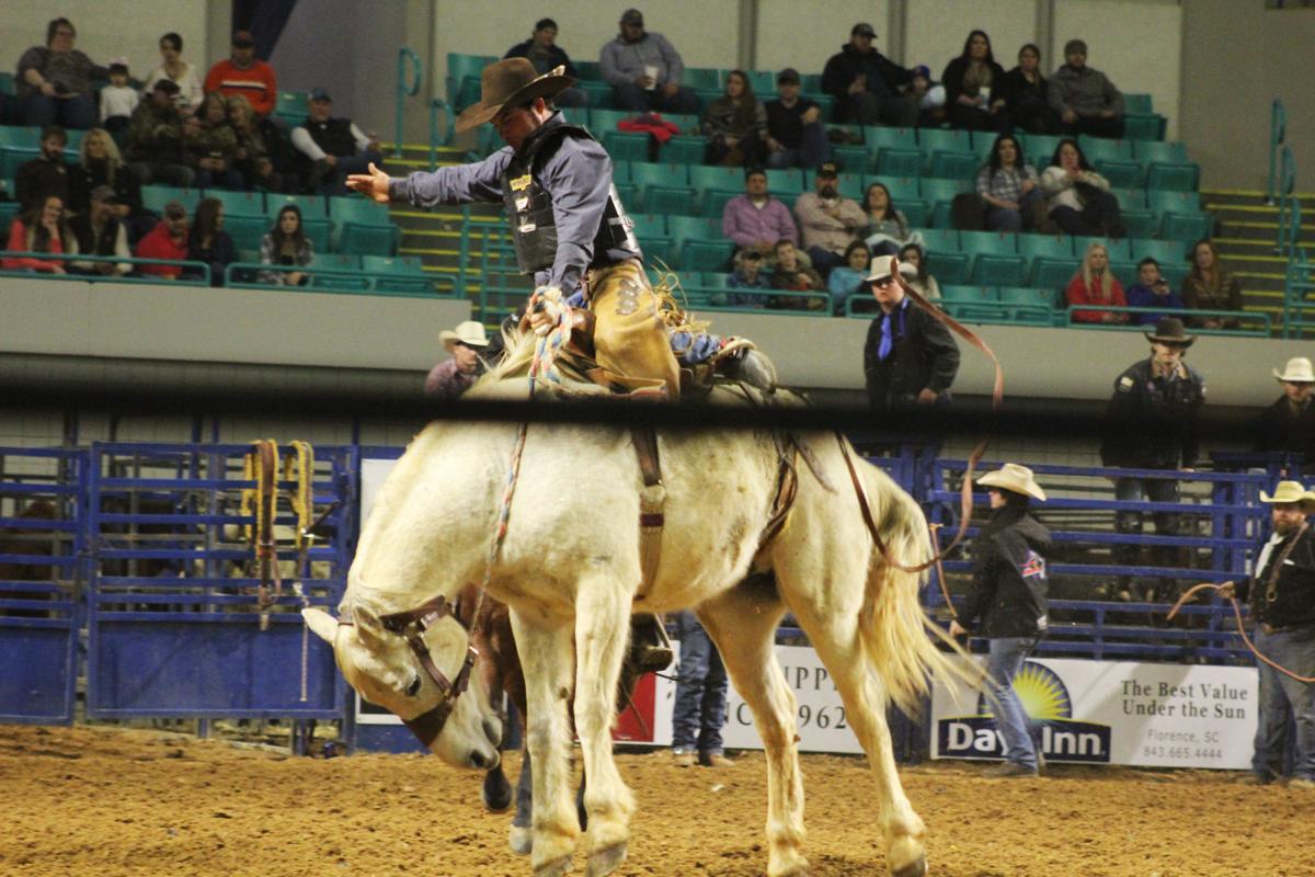 Rustlers & wranglers The Florence Stampede & Pro Rodeo promises a