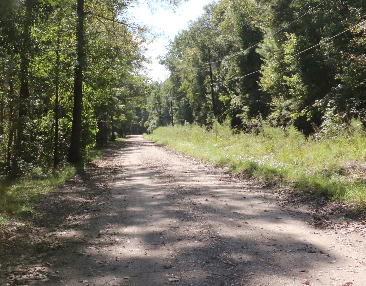 Effingham residents brace for flood from Lynches River Local News