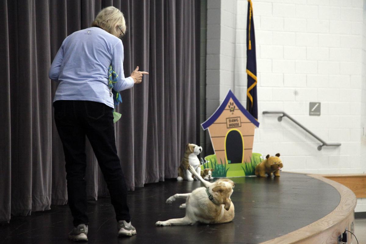 Delmae Heights Elementary students adopt stuffed puppies ...