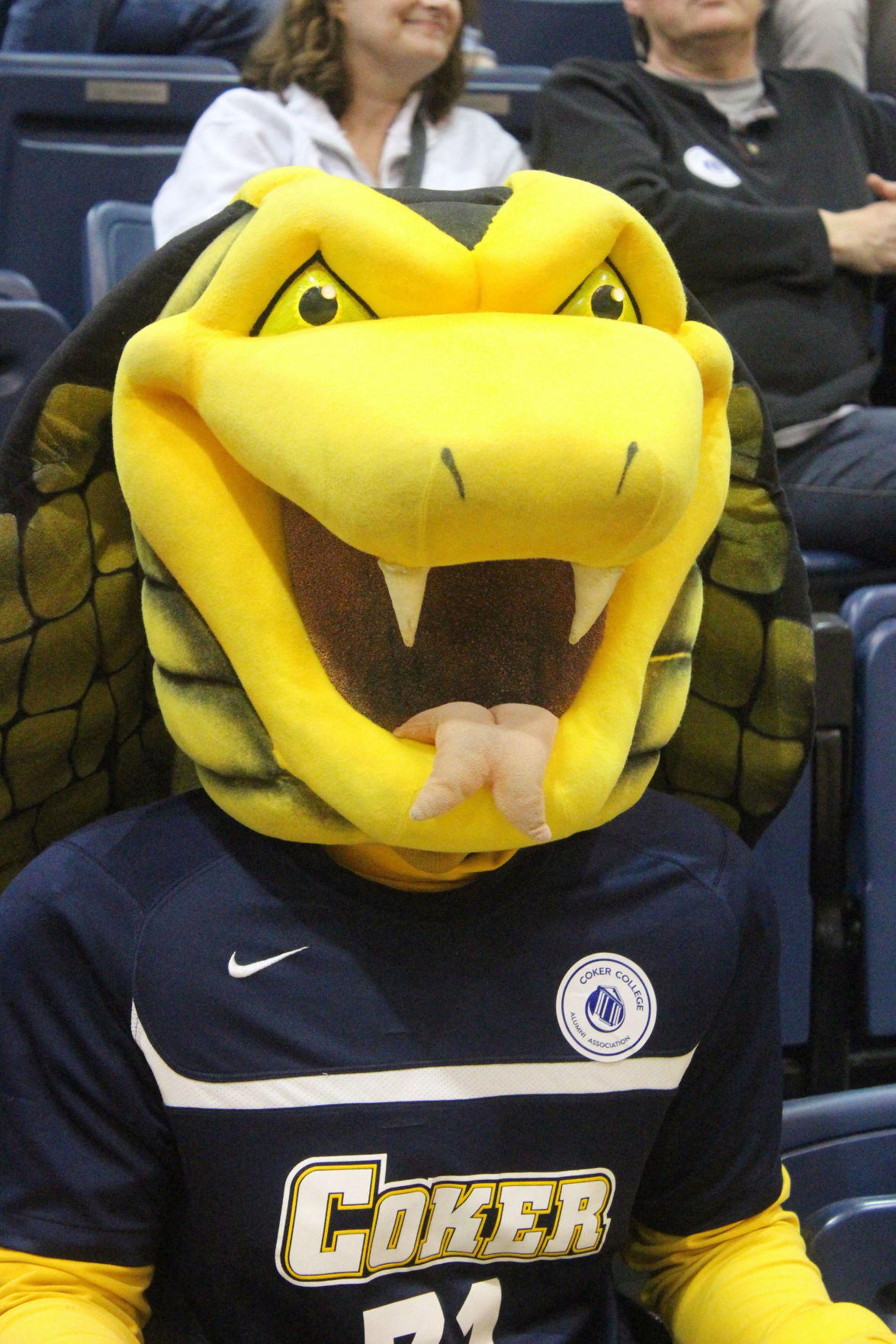 2019 Coker College Gallery Sports