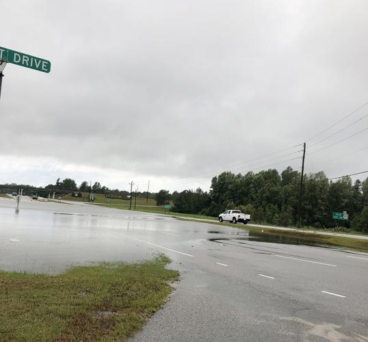 Hundreds of fish stranded on I-40 after Hurricane Florence floodwaters  recede
