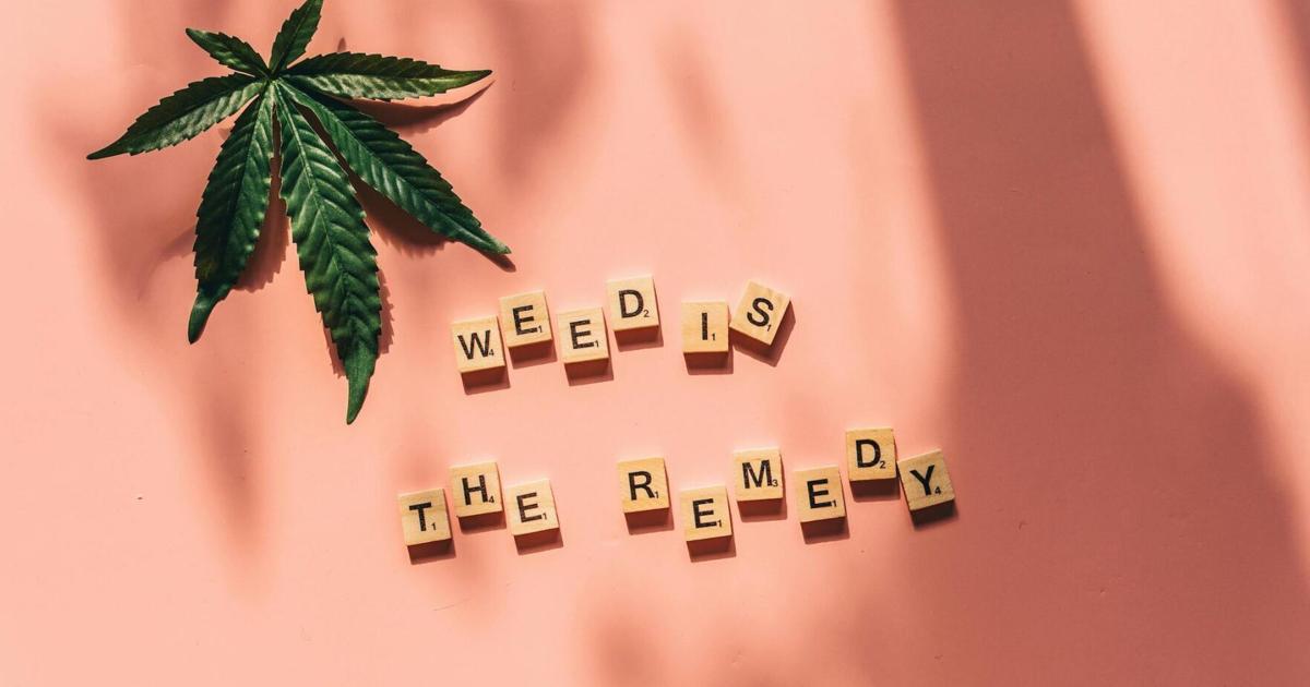 What First-Timers Should Know Before Trying Weed Gummies