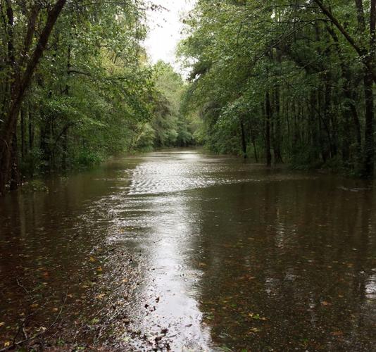 Effingham residents brace for flood from Lynches River