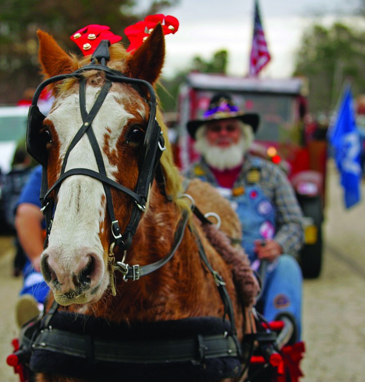 Johnsonville Sc Christmas Parade 2022 Another Year, Another Neck Parade In The Books | News | Scnow.com