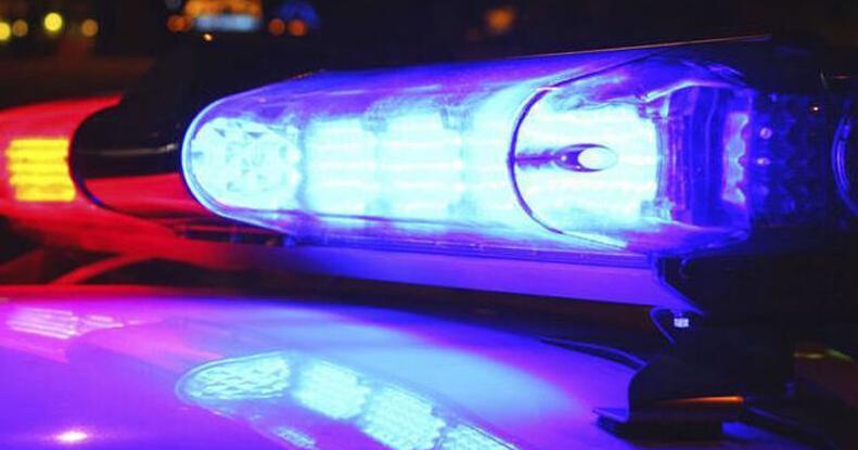 Florence County Violent Crime Task Force seizes marijuana, cocaine