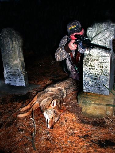 Tips and Techniques for Hunting Coyotes at Night - Coyote Light