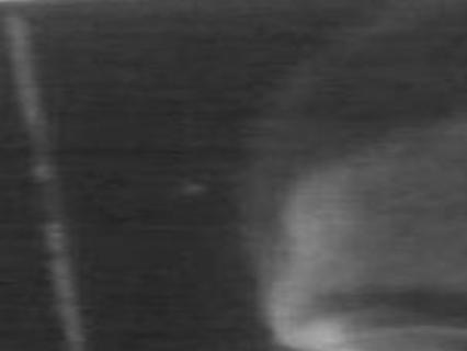 Latosha Tisha Harrison Obituaries Scnow Com