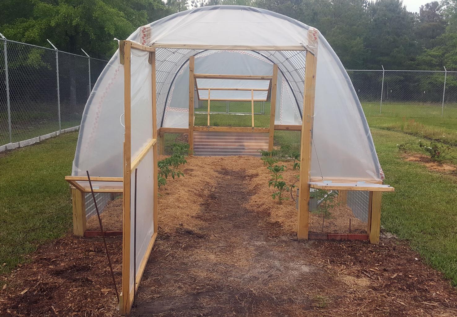 how-to-build-a-cattle-panel-greenhouse