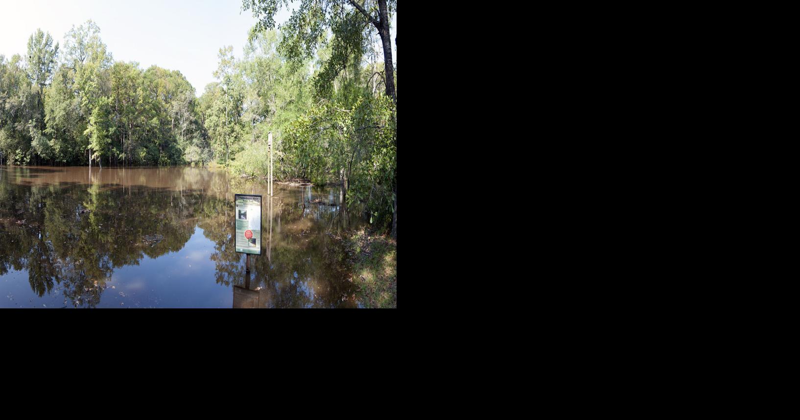 Lynches River heads for Saturday crest, residents evacuate