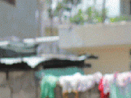 Pee Dee Woman Experiences Emotional Journey To Haiti As Missionary Lifestyles Scnow Com