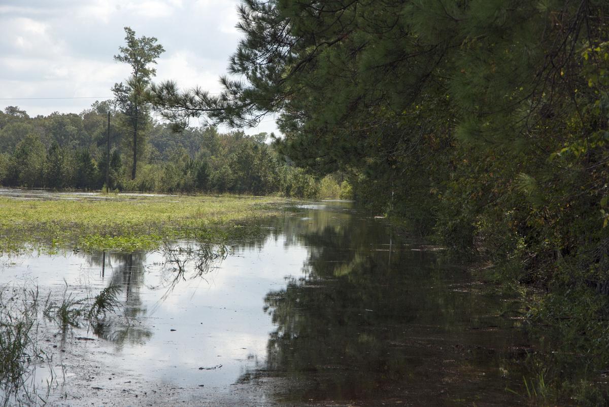 Lynches River Rising News