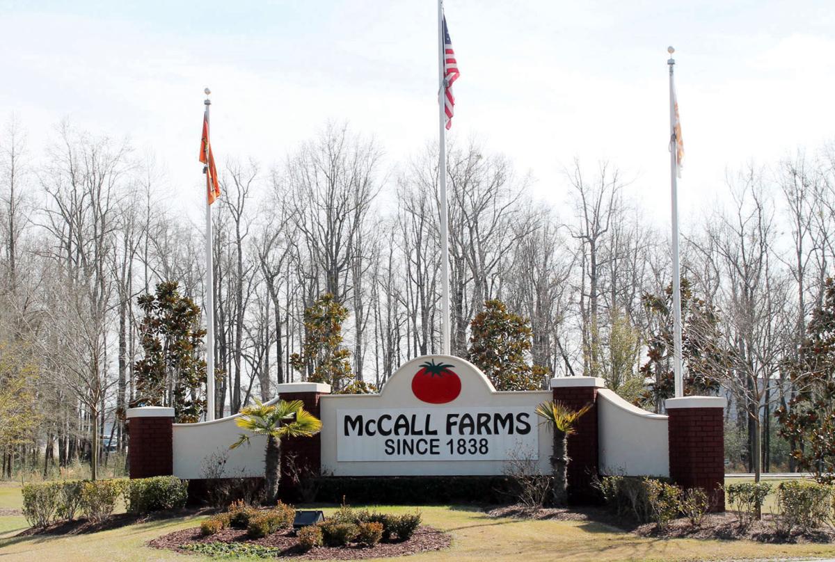 Mccall Farms To Invest 35 Million In Project Veg 3 To Create 150 New Jobs Business News Scnow Com