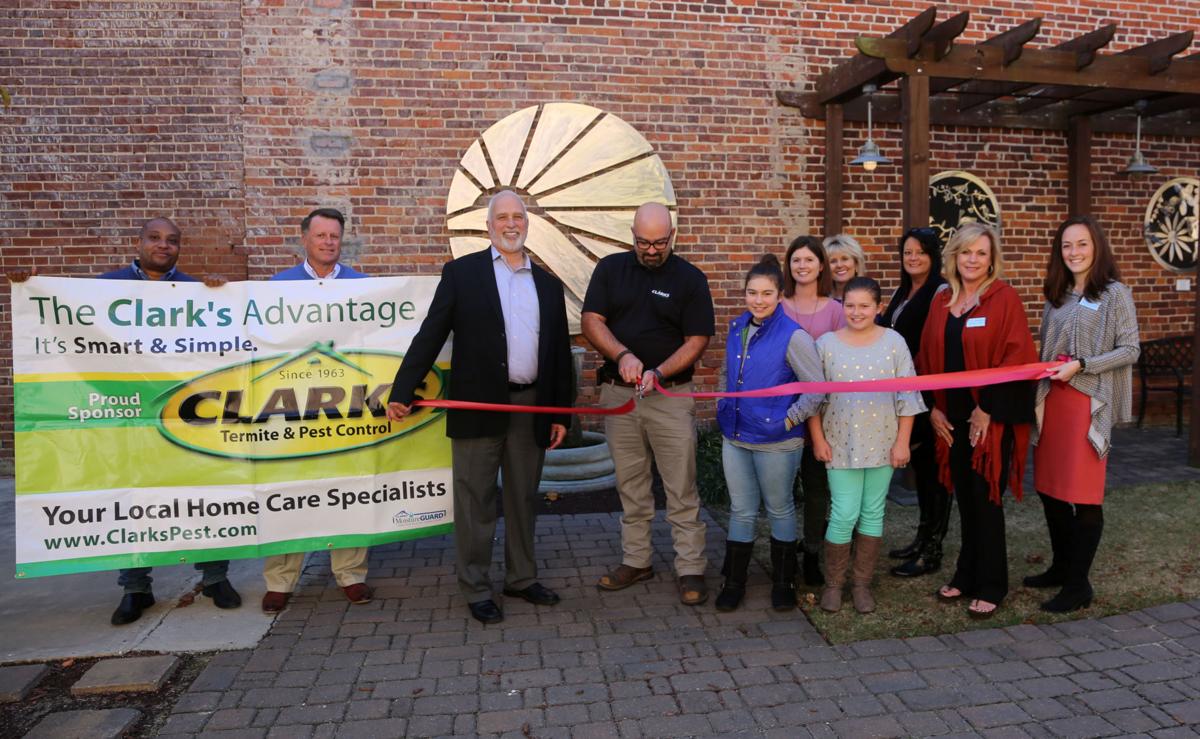 Sumter pest control company wants to grow in Florence ...