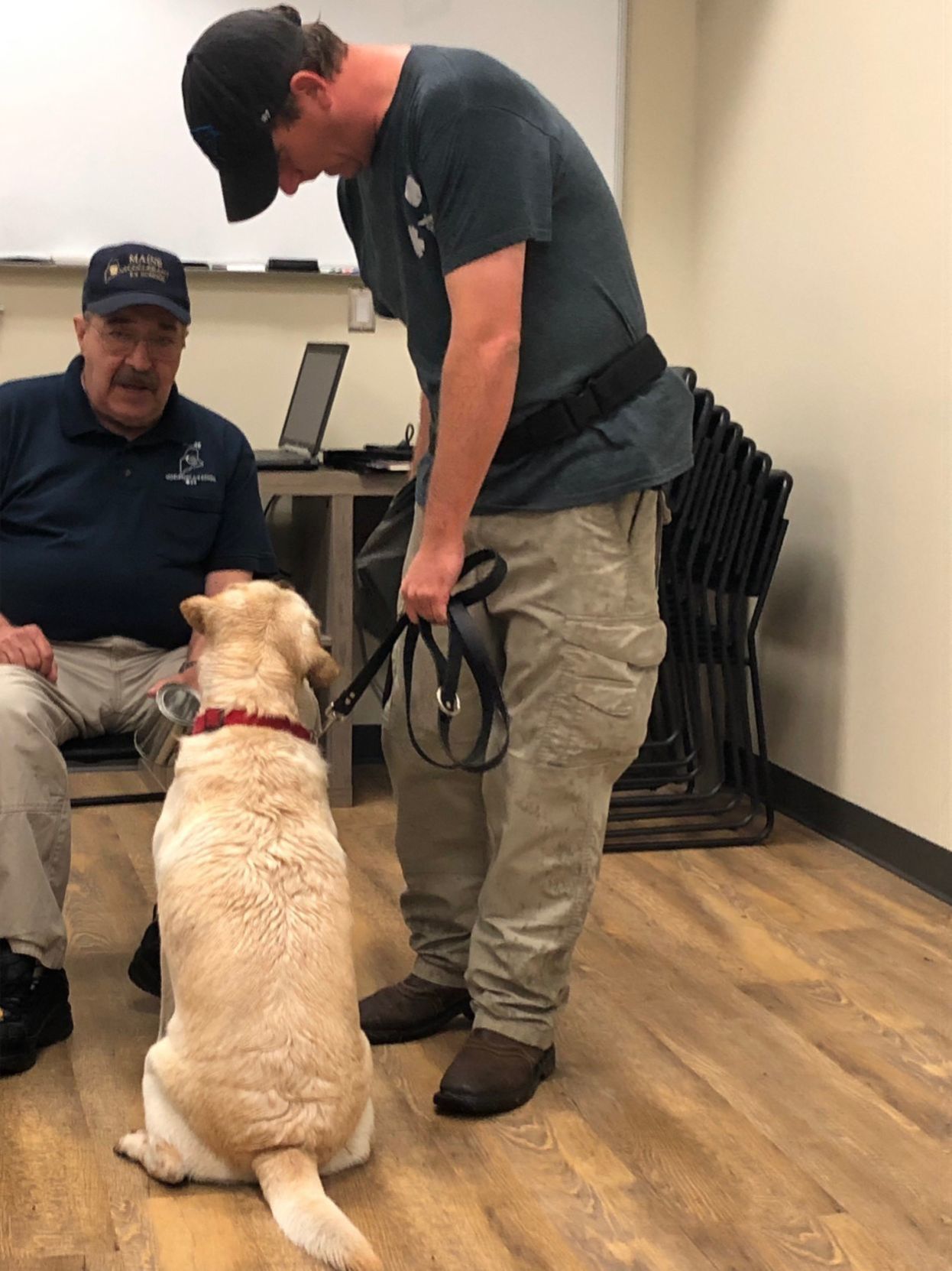 accelerant detection canine for sale