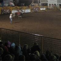 Hemingway Sc Rodeo Hemingway saddles up for County Line Rodeo