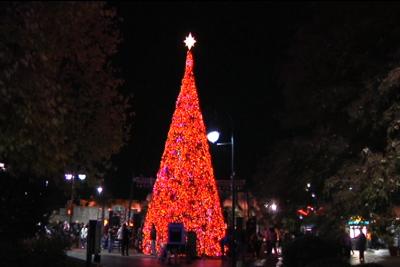 broadway christmas beach tree 16th celebration annual lighting scnow saturday lights gather folks around