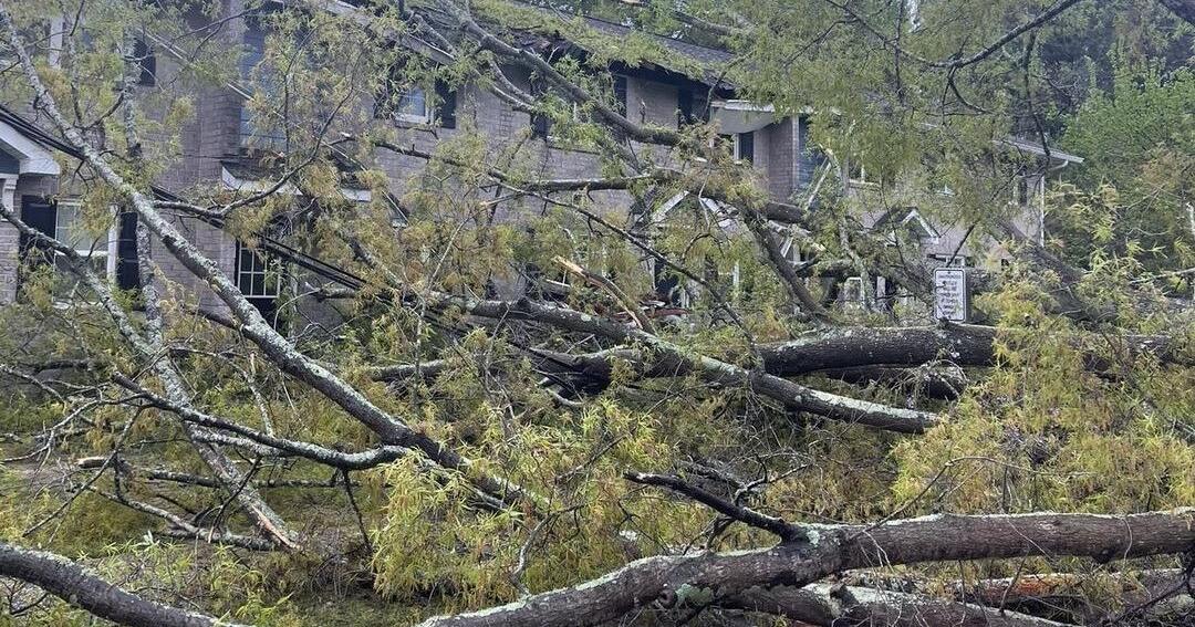 Fallen tree damages apartment complex - Vimarsana News