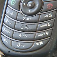 Review of state-issued cell phones show room for savings