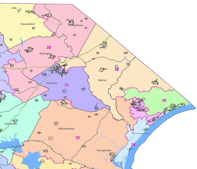 South Carolina Senate redistricting plan calls for including more Pee 