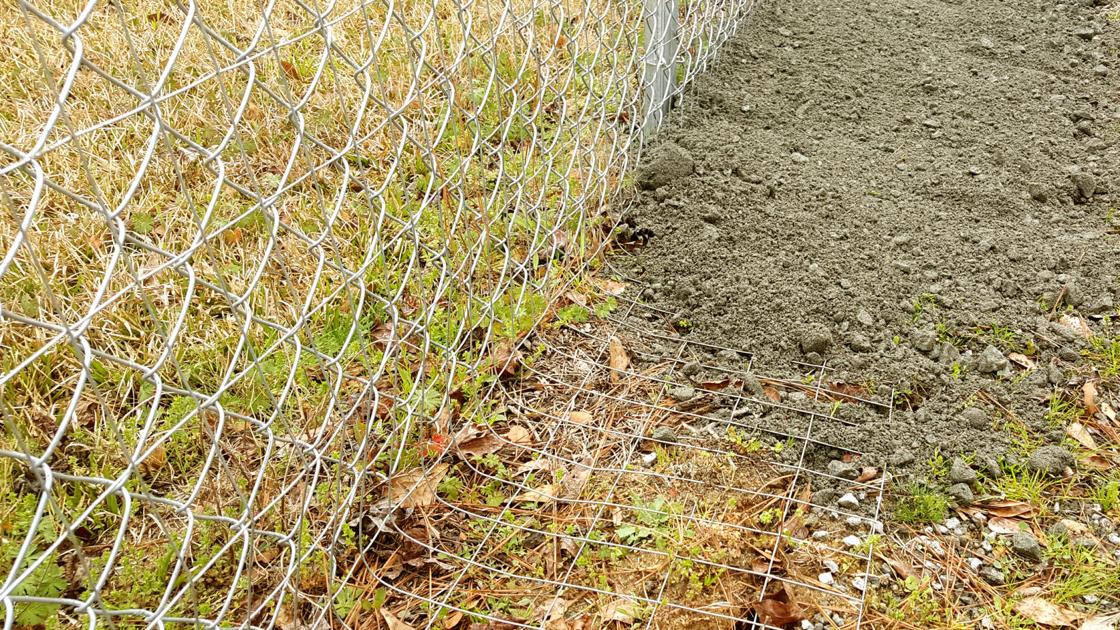 Greg Pryor Rabbit Proof Fence Design Seems To Be Working Home