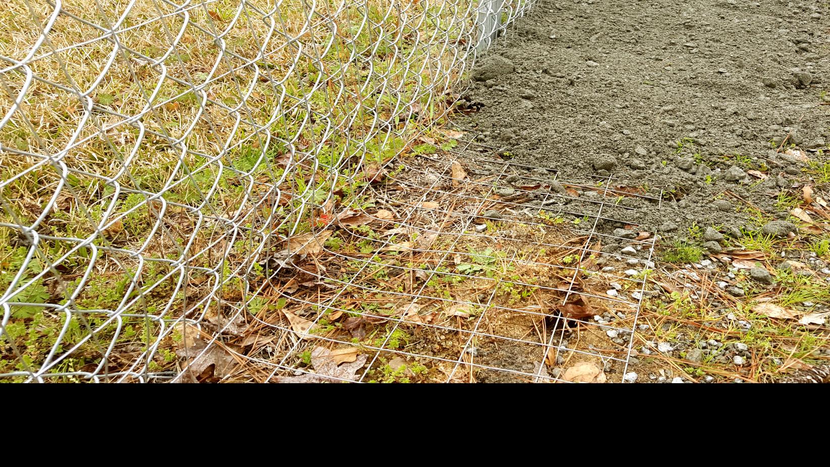 35++ How deep should a rabbit fence be