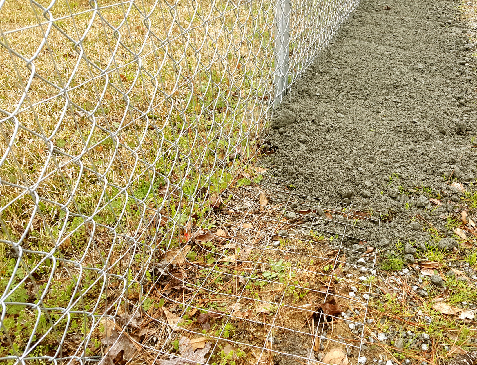 GREG PRYOR Rabbit-proof fence design seems to be working
