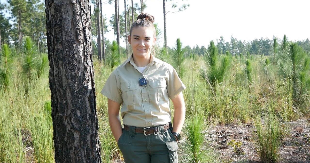 These huge spiders are in SC yards for the summer - Vimarsana News